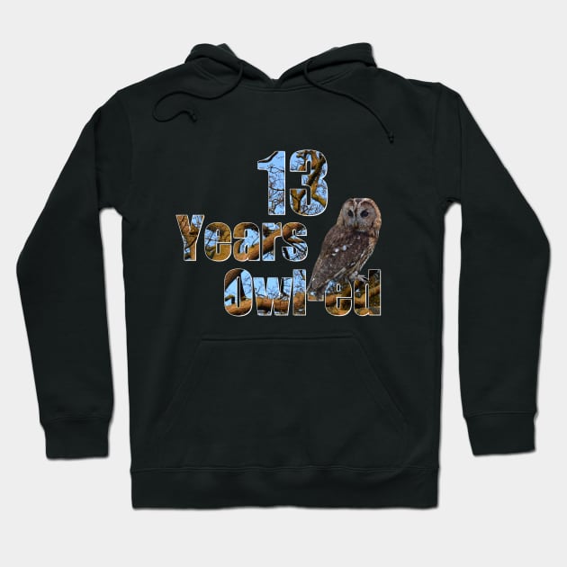 13 years owl-ed (13 years old) teen 13th birthday Hoodie by ownedandloved